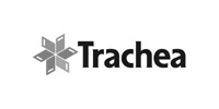 Trachea